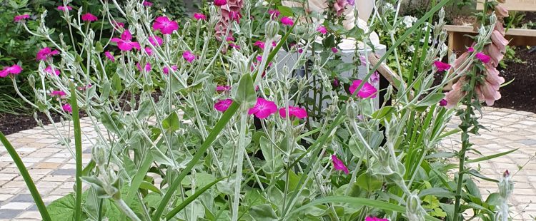 Rosary Garden Opening Times